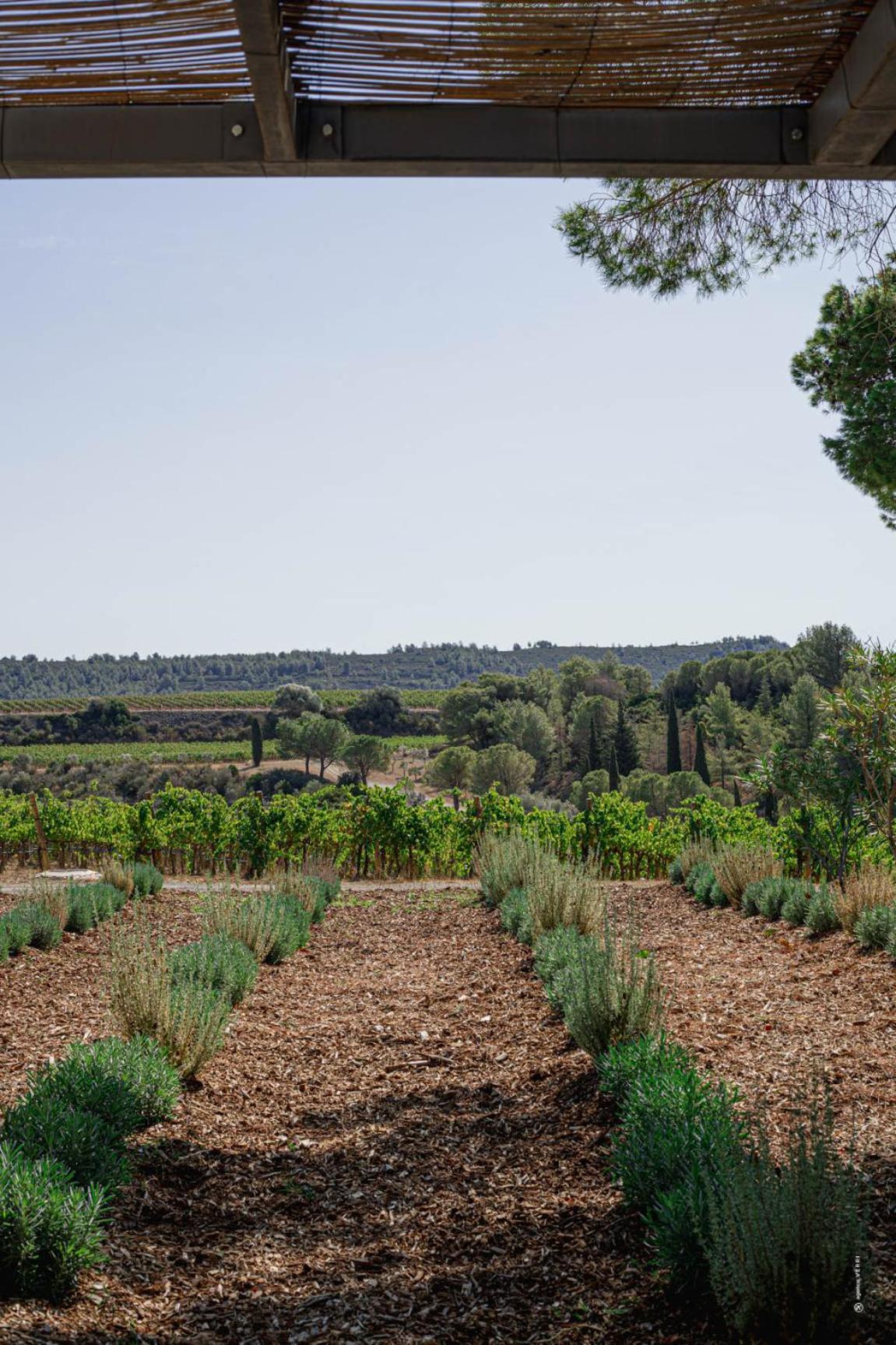Les Villas Du Chateau De Lastours Portel-des-Corbieres Luaran gambar